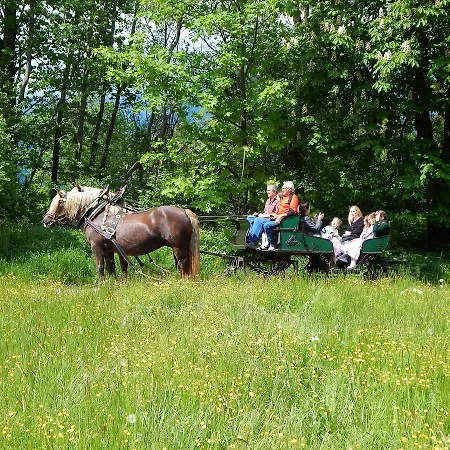 Landgasthof Buchner 3*