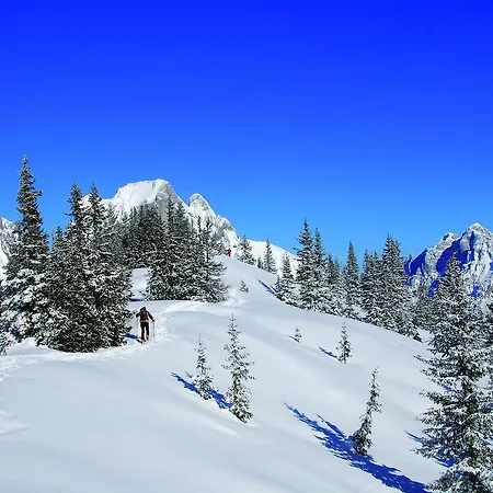 Landgasthof Buchner 3*