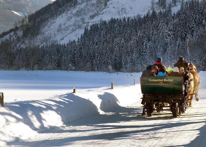 Inn Landgasthof Buchner