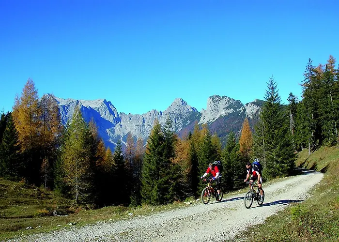 Landgasthof Buchner Inn 3*