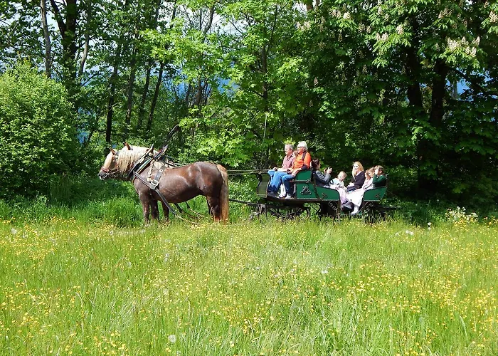 Landgasthof Buchner 3*