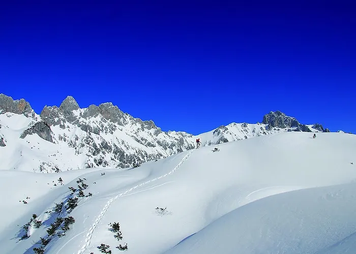 Landgasthof Buchner Värdshus Admont