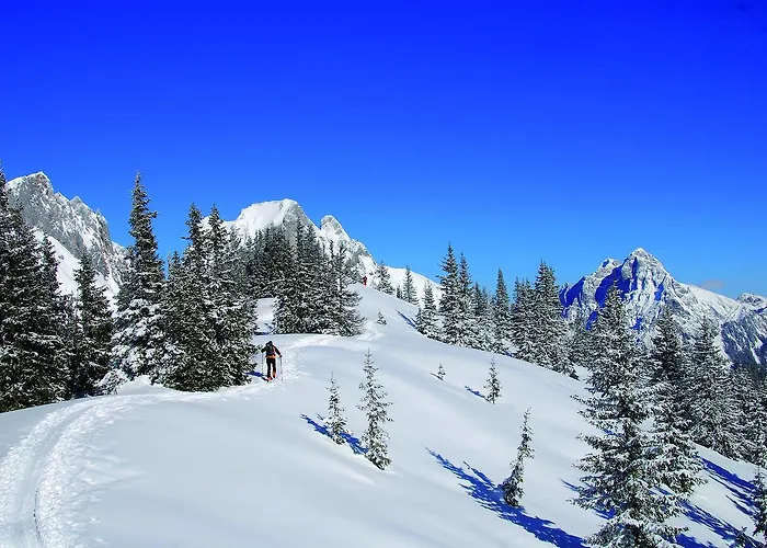 Landgasthof Buchner 3*